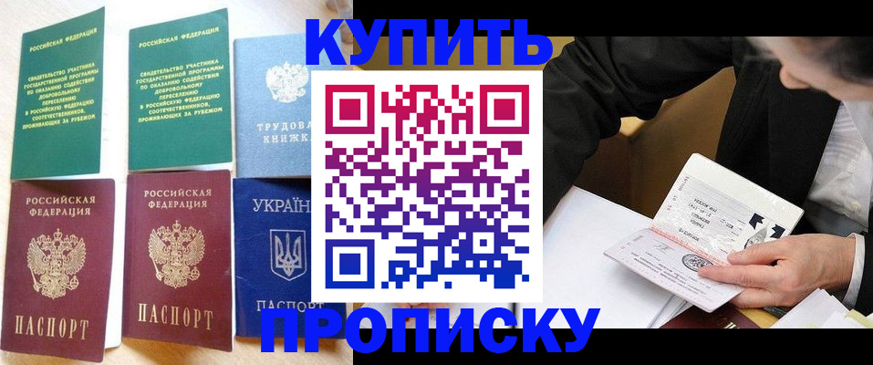 прописка для школы в Змеиногорске